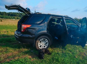 How Long Do Ford Explorers Last?