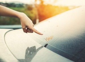 What Eats Car Paint The Fastest? 10 Substances To Avoid