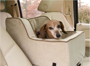 6 Tips to Make Your Car Pet-Ready