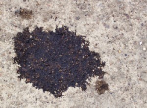 6 Signs Your BMW Has An Oil Leak & What To Do About It