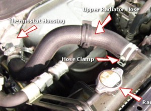 Best Homemade Radiator Flush