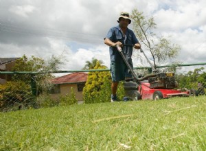 What Happens if You Mow Your Grass in the Same Direction?