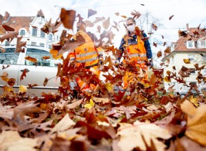 Are You Using a Leaf Blower to Clean Your Car?