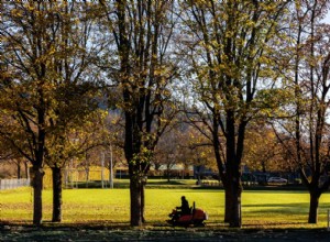Top Tips on Preparing Your Lawn Mower for Falling Leaves and Autumn Weather