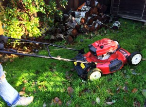 The Best Lawn Mowers for Mulching Leaves Will Save You Time and Improve Your Lawn