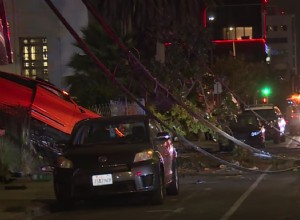 Lamborghini Urus Crashes-Lands in a Tree