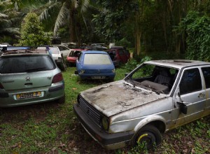 Mr. Goodpliers Discovers Forest Full of Vintage Vehicles