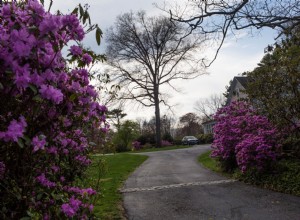 10 New England Foliage Drives Straight out of a Postcard