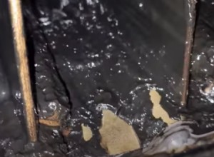 Look Inside: Ford Power Stroke Diesel with Catastrophic Damage