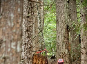 The Case For More Off-Road Bicycle Trails