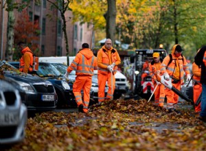 Consumer Reports Tests if a Leaf Blower or Vacuum Is Superior for Cleaning Your Car