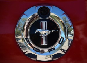 The Ultimate Ford Mustang Shelby Guide