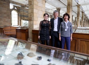Why is This Old Driveway Displayed In London’s Natural History Museum?