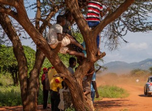 Valkyrie Racing Team Outfitted a Porsche 356A With Snow Shoes