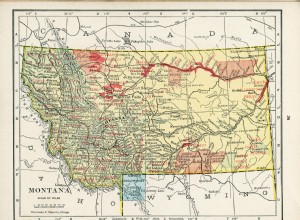 The Ways Rich People Are Buying Their New Cars and How You Can Do the Same