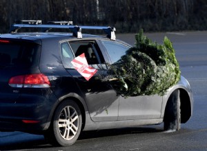 How to Tie a Christmas Tree on a Car Without It Flying off and Hitting Someone