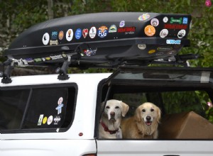 Your Roof Cargo Box Is Ruining Your Car’s MPG More Than You Think