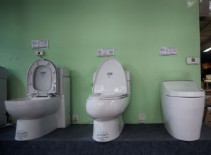 Is It Possible to Power a Car With Poop?: Full of Crap