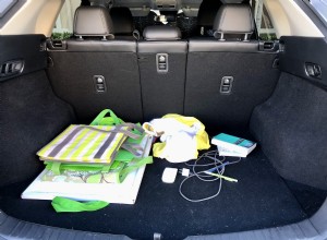 The 5 Best Car Organizers of 2022