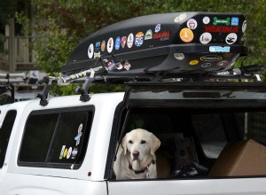 How Fast Can You Drive With a Car Rooftop Cargo Carrier?