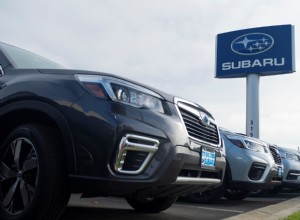 Wild Animal Stuck in Subaru Wagon Survives on Cheetos