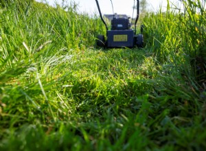 How Consumer Reports Chooses the Best Lawn Mowers for the Season