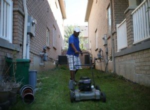 According to Consumer Reports, These Are the Worst Push Mowers