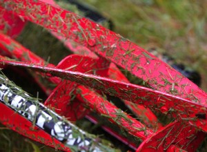 The 8 Best Reel Lawn Mowers to Cut Fuel Costs and Grass