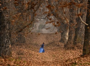 The Best Car Trash Cans to Keep Your Car, Truck, or SUV Clean This Summer