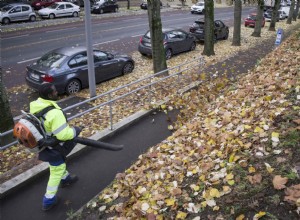Are Electric Leaf Blowers Better Than Your Old Gas Leaf Blower?