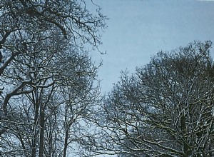 Driving on ice and snow