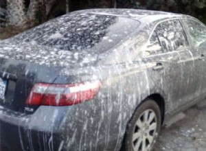 How Ceramic Coatings Prevent Damage from Bird Droppings