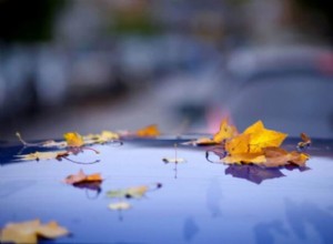 Changing Seasons, Falling Leaves, and Your Cars Paint