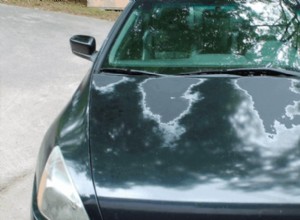 How to Prevent Sun Damage to Your Cars Paint