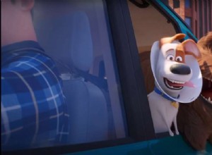 Traveling With Pets: Driving Safety and Animals