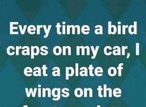 What to Do When Birds Wreck Your Cars Paint Job