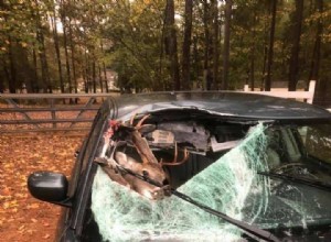 Animal Road Hazards: How to Avoid and React to Collisions with Wildlife