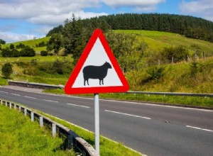 What to do if you hit an animal with your car