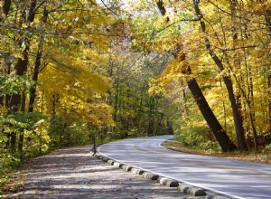 9 Fall Car Care Tips for Colorado Drivers