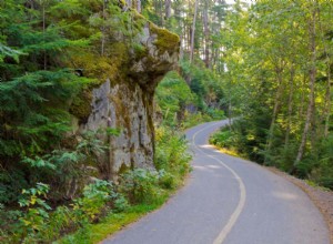 Your Guide to the Ultimate BC Road Trip