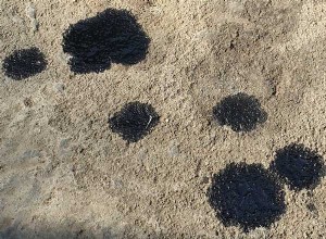 Stains in Your Driveway? Figure Out What’s Leaking from Your Car!