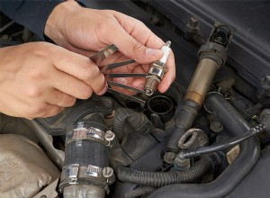 Everything You Need to Know about Spark Plugs in a Car