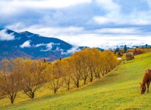 Alberta’s Best Road Trips: 10 Scenic Drives To Take Your Ride On This Summer