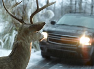 Improve Visibility At Night With These Powerful Headlight Upgrades