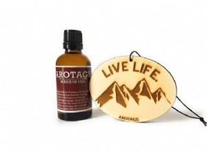 Top 10 Best Air Fresheners for Your Car