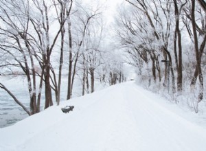 Safe Driving on Icy Roads: Expert Tips for Winter Travel