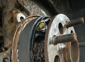 Understanding Parking Brake Shoes: How They Keep Your Vehicle Stationary