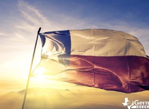 20 Texas State Symbols Every Texan Must Know