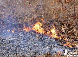 Understanding Wildfire Causes & Rapid Spread: Key Factors & Prevention