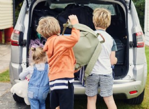 Plan Your Next Family Road Trip for Safety and Comfort